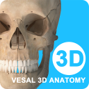 维萨里3D解剖VIP破解版免费游戏图标