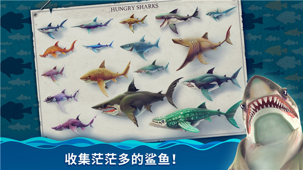 饥饿鲨世界国际服绿色钥匙版 第5张图片