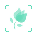 形色植物识别app最新版下载 v3.14.24 安卓版