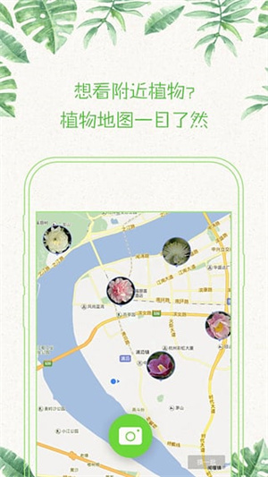 形色植物识别app最新版 第2张图片