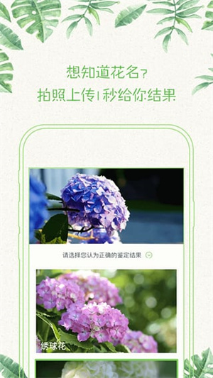 形色植物识别app最新版 第1张图片