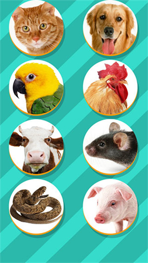 动物翻译器全部动物可用版 第3张图片