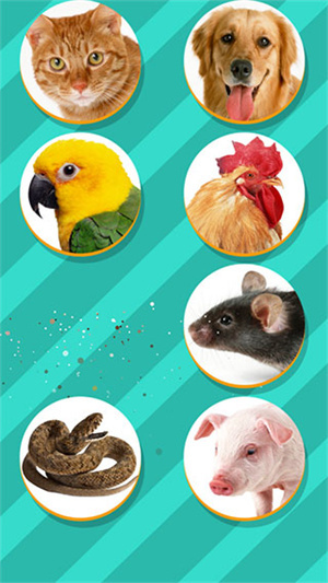 动物翻译器全部动物可用版 第4张图片