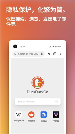 DuckDuckGo浏览器汉化最新版 第2张图片