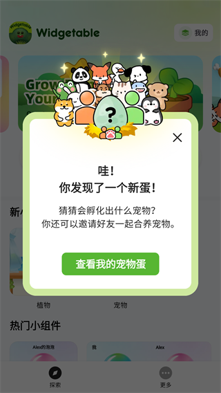 widgetable怎么设置中文？1