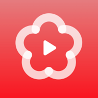 梅花视频app下载安装最新版 v1.11 安卓版