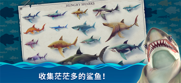 饥饿鲨世界电脑版 第5张图片