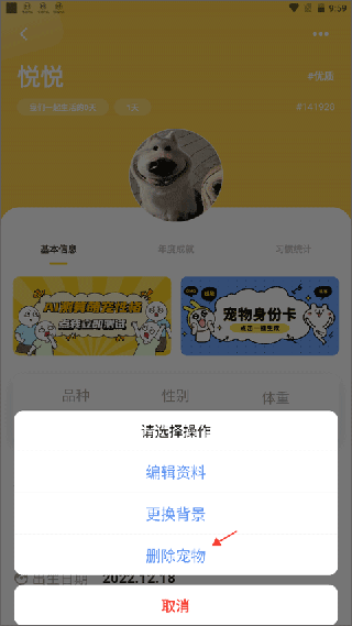 宠日常app使用教程4