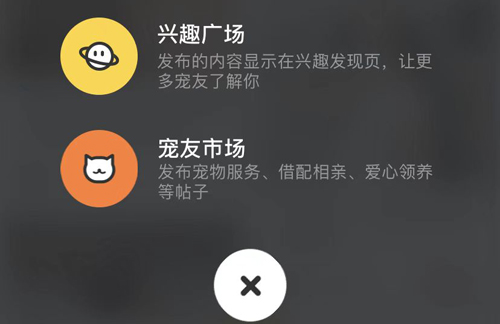 宠胖胖app怎么赚钱截图1