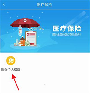 四川人社app人脸识别认证软件如何查询医保个人权益信息
