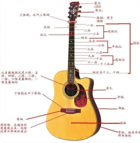 吉他到底该怎么练截图2