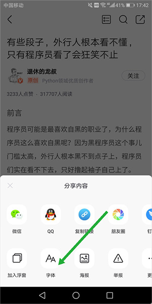 csdn怎么调字体截图2