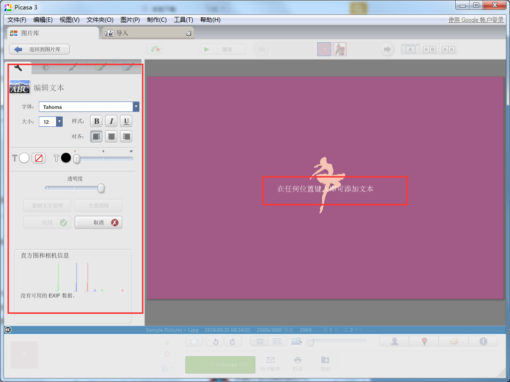 Picasa3官方中文版使用教程截图4