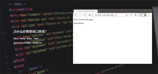 SakuraFrp内网穿透工具 第3张图片