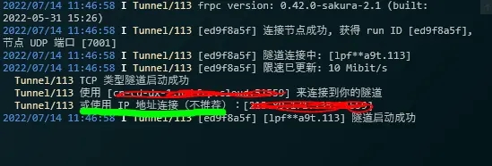 SakuraFrp内网穿透工具使用说明2