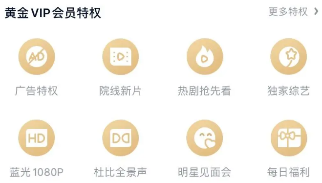 爱奇艺Pad版和正常版会员通用吗