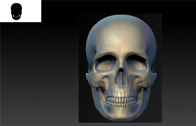 ZBRUSH导入参考图12