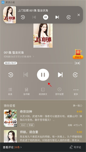 疯读小说极速版app怎么听书截图3