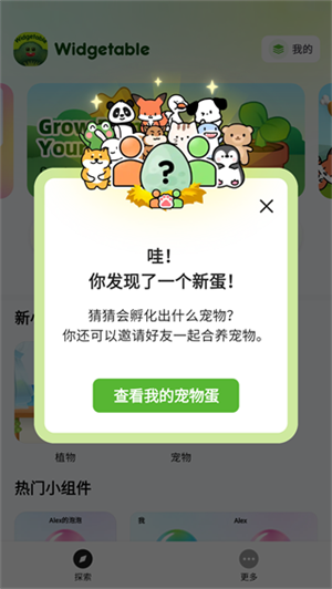 Widgetable官方版怎么设置中文截图1