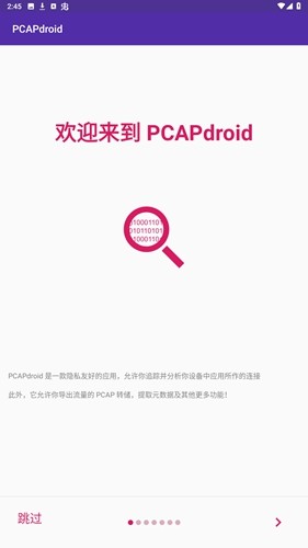 PCAPdroid抓包工具最新版 第4张图片