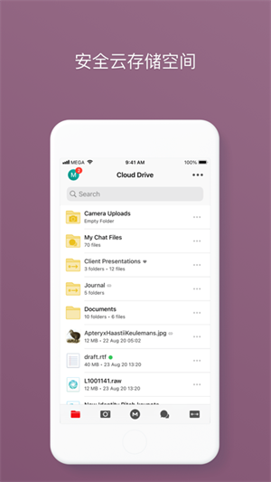 mega云盘手机版 第2张图片