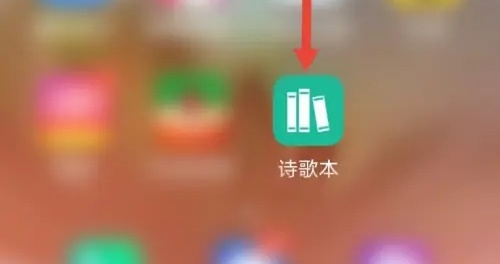 怎么设置按顺序播放截图1