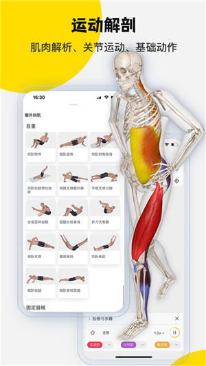 3DBody解剖官方免费下载 第1张图片