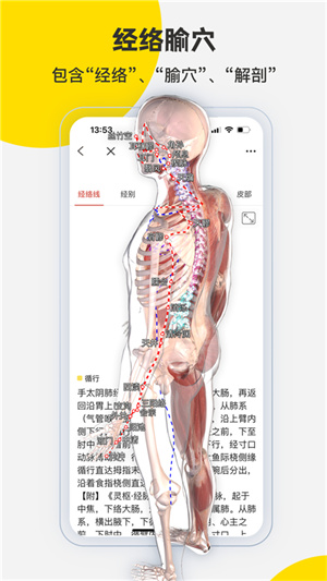 3DBody解剖官方免费下载 第4张图片