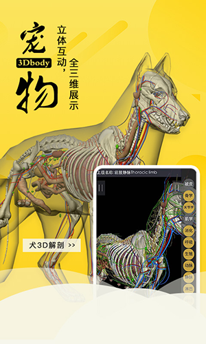 3Dbody宠物解剖app免费版下载 第1张图片