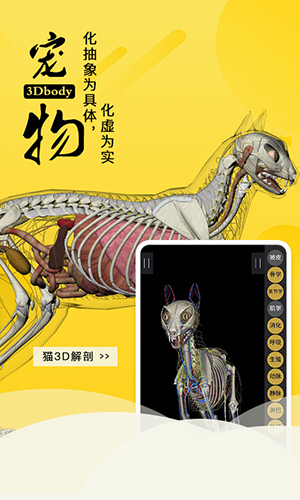 3Dbody宠物解剖app免费版下载 第2张图片