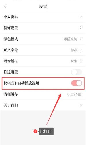 怎么设置仅wifi下自动播放视频3