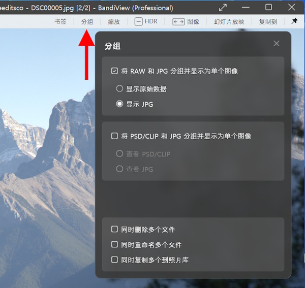 如何将RAW和JPG文件分组为单个图像截图2