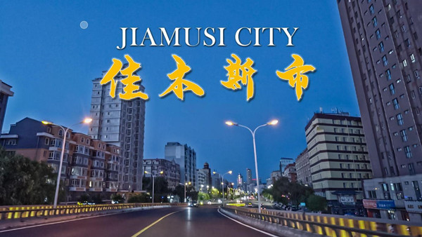 佳木斯市app大全