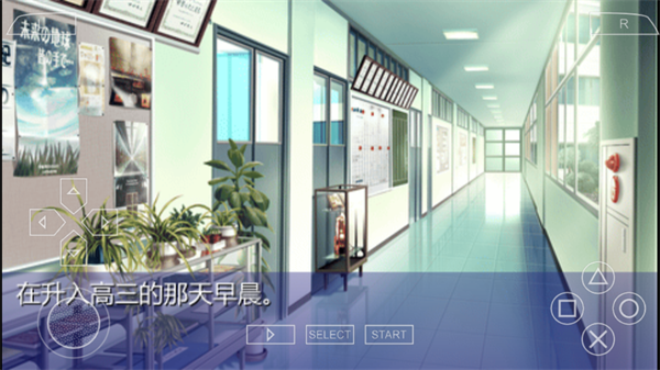 怎么玩3