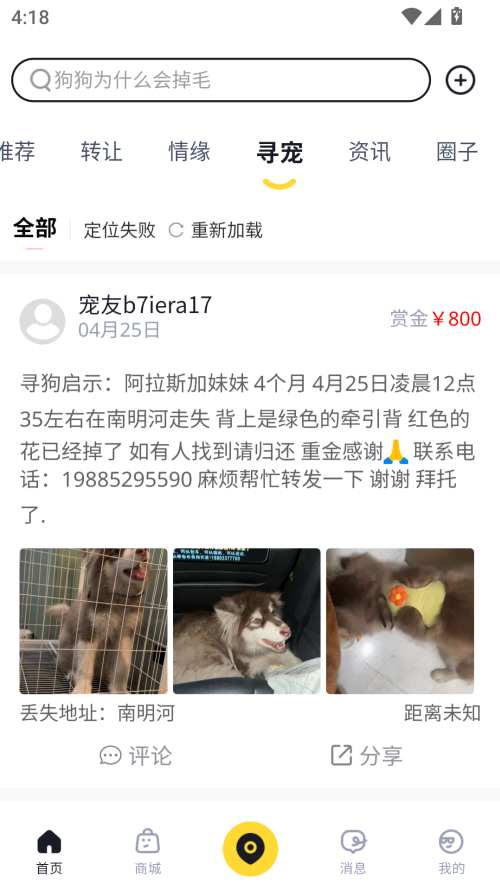 68宠物APP下载 第4张图片