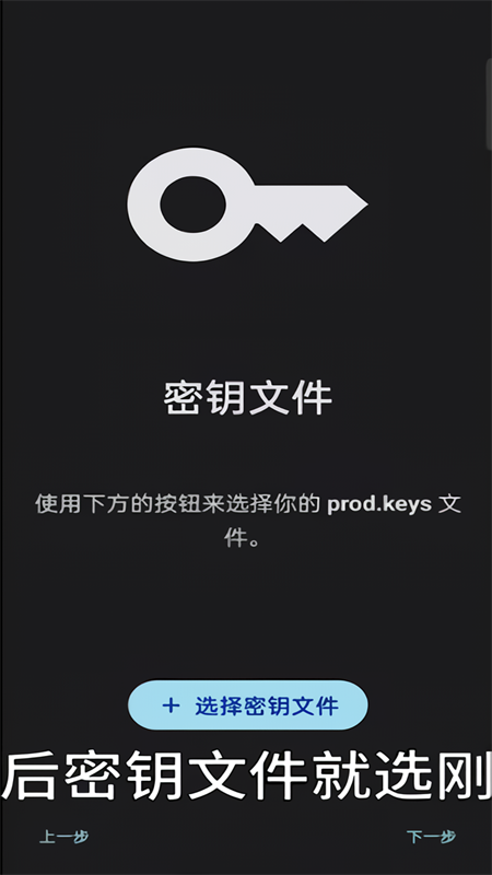Sudachi模拟器官方正版下载 第3张图片