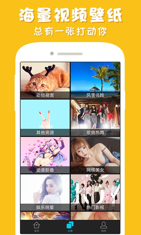 彩蛋视频壁纸车机版比亚迪 第2张图片