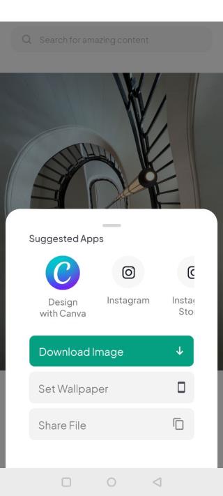 pexels素材网官方app 第2张图片