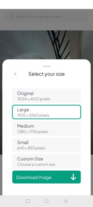 pexels素材网官方app 第3张图片