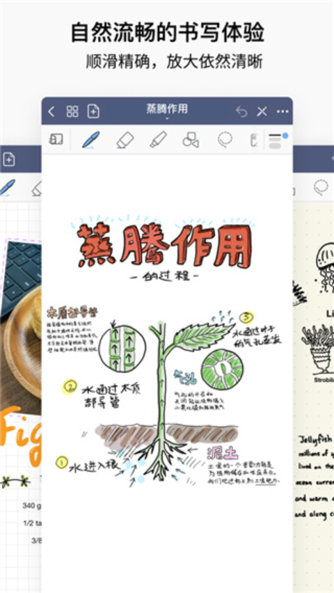 GoodNotes5官方手机版下载 第2张图片
