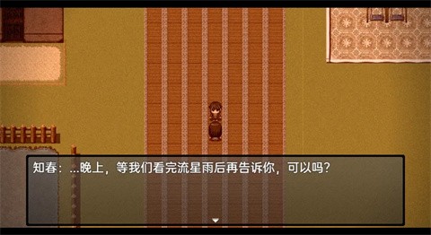 流星降临的小镇来自过去的幽灵手机版下载 第3张图片