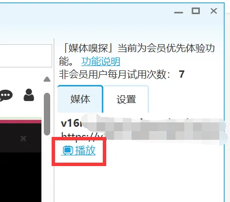 如何使用媒体嗅探从网页中提取媒体文件截图3