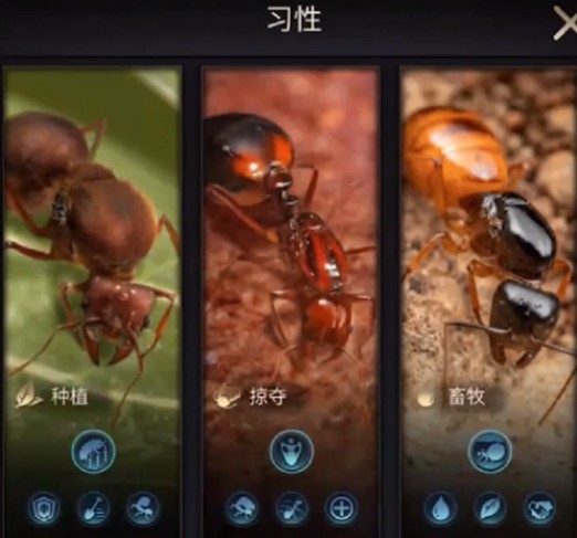 习性选择攻略