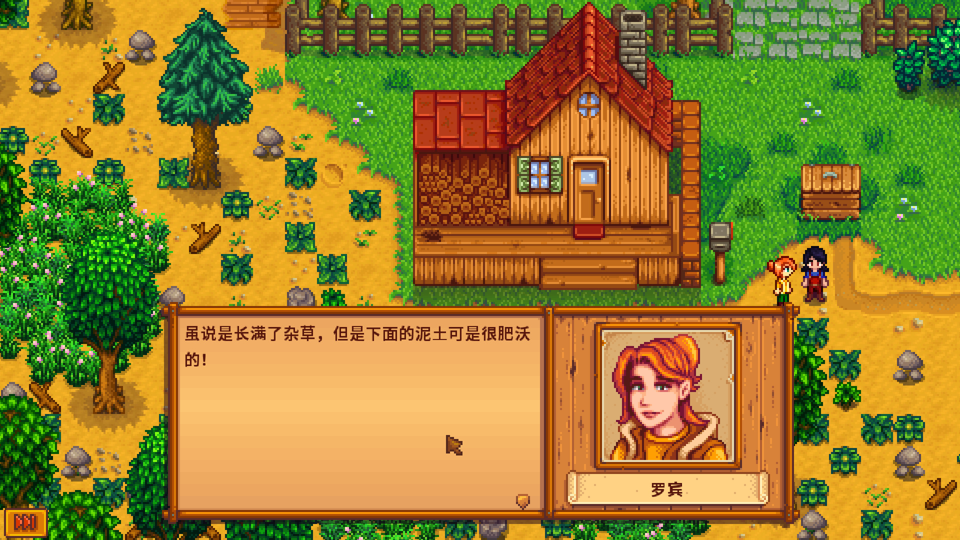 星露谷物语病娇MOD版 第4张图片
