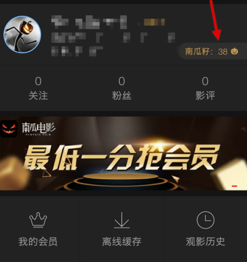用南瓜籽点播