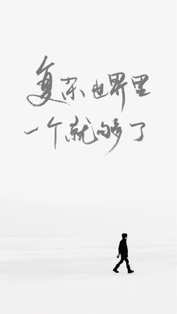 预览图5