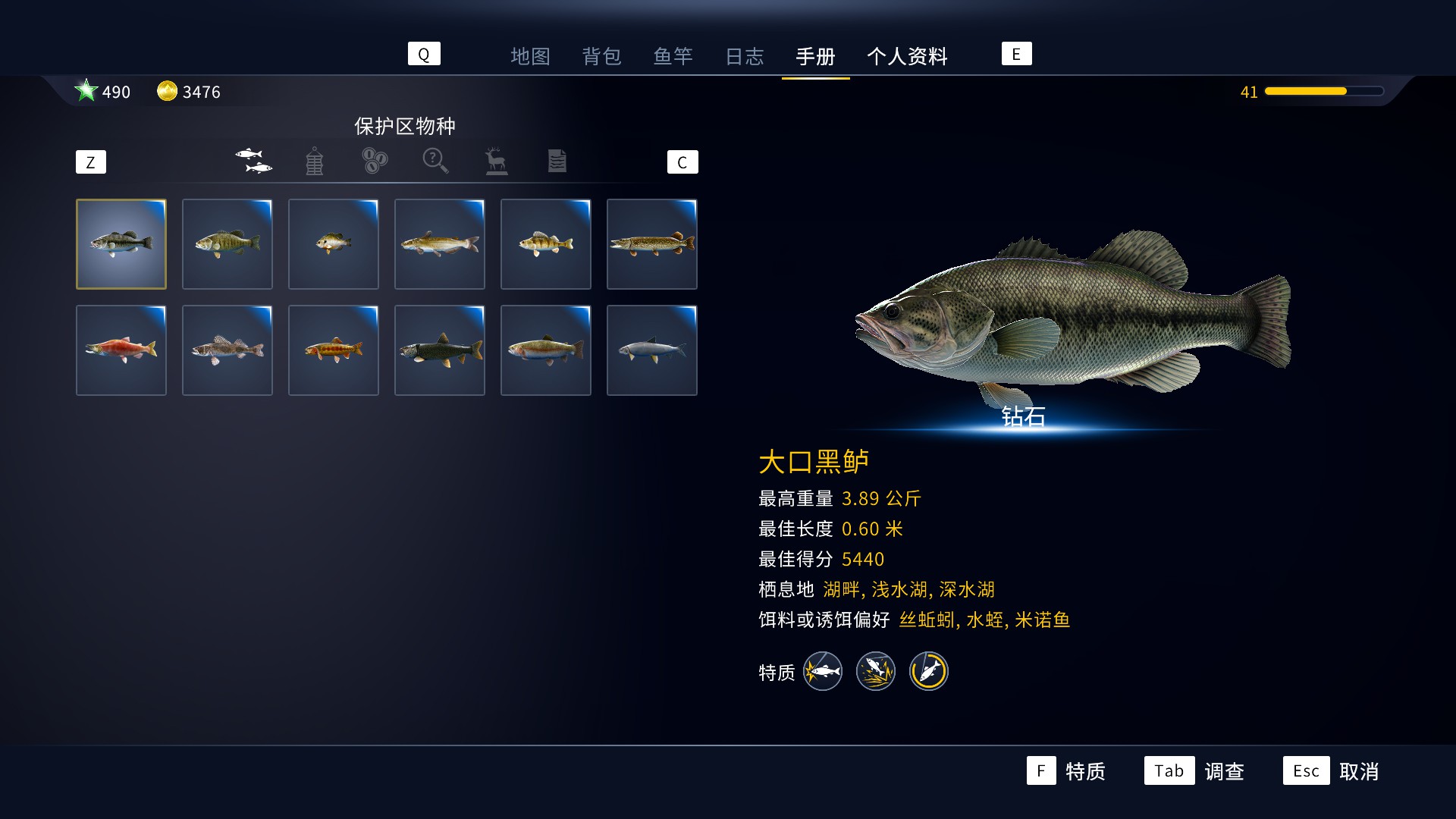 钓鱼感想