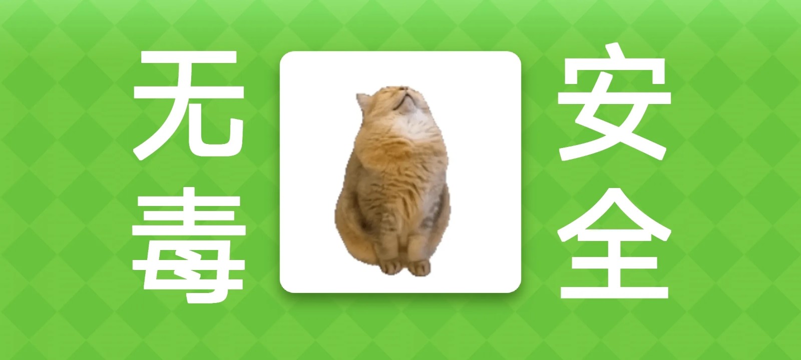 女巫的毒药猫Meme版下载 第4张图片