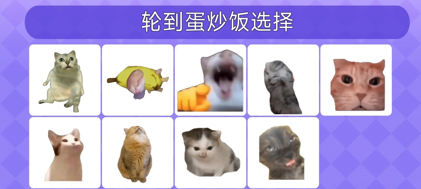 女巫的毒药猫Meme版下载 第2张图片