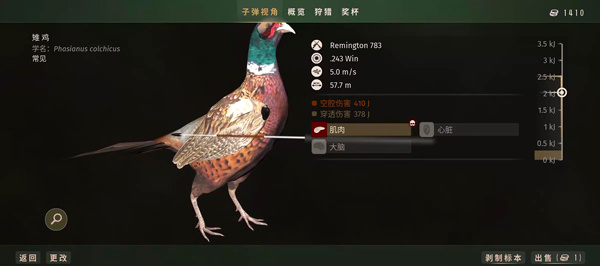 怎么玩5